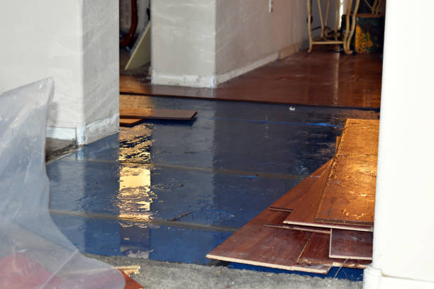 Professional Burst Pipe Cleanup technician working in Bay City, OR